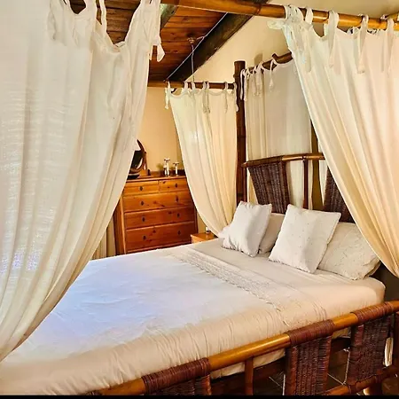 Kalfajar Country house Radazul