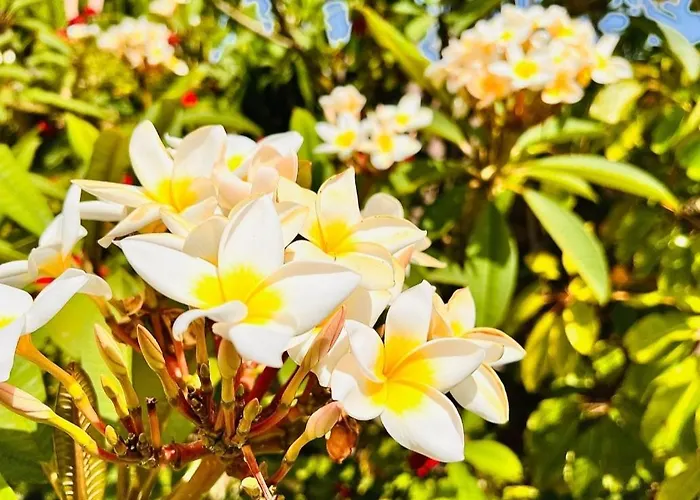 Kalfajar カントリーハウス *